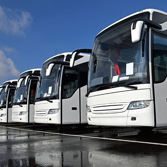 O-City-Bus-Fleet O-City-Bus-Fleet